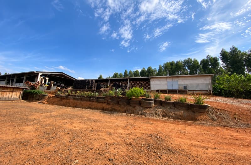 Foto 5 de 9: Area Rural em leilão em Arapoti - PR — LOTE 011 Parte Ideal (6.103,93m²) de Imóvel com casa e barracões - Arapoti - Pr
