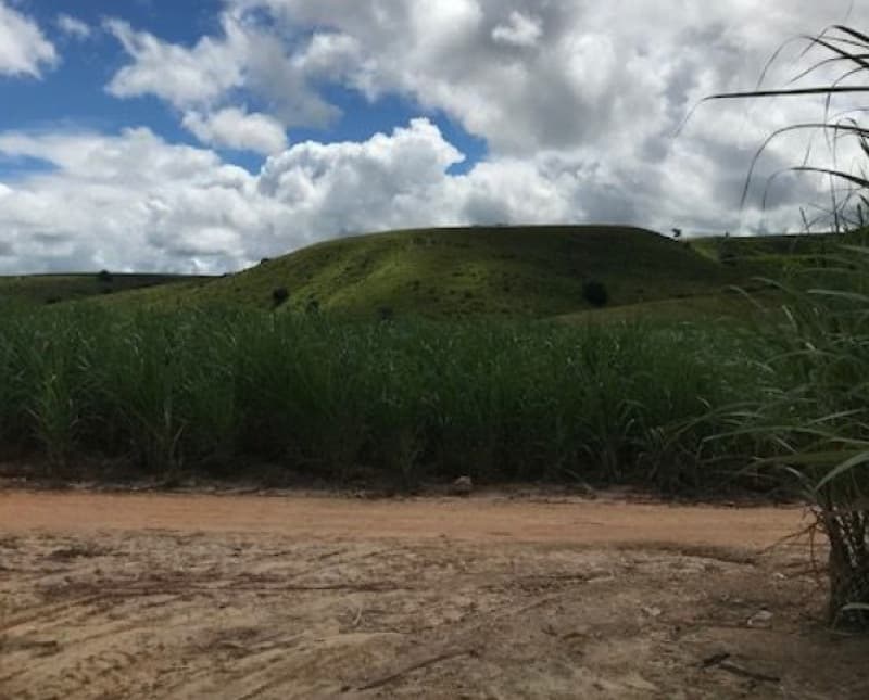Foto 1 de 2: Area Rural em leilão em Água Preta - PE — LOTE 001 ENGENHO PIRAJÁ COM AREA DE 13,00 HA