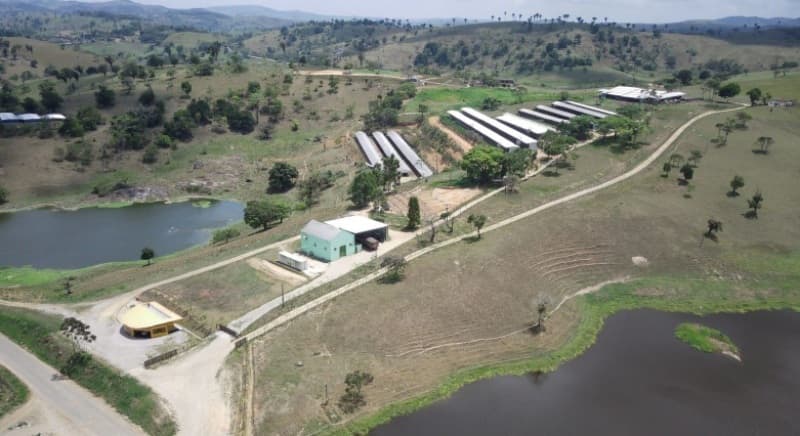 Foto 1 de 5: Area Rural em leilão em Bonito - PE, bairro Riacho Seco — LOTE 001 GRANJA COM 17 HECTARES, LOCALIZADO NO RIACHO SECO, BONITO-PE