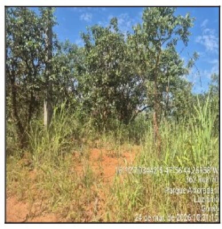 Terreno em leilão em Luziânia - GO, bairro Parque Alvorada Ii — LOTE 076 Terreno - AREA PRIVATIVA (M²): 0 BAIRRO: PARQUE ALVORADA II CIDADE: LUZIANIA-GO