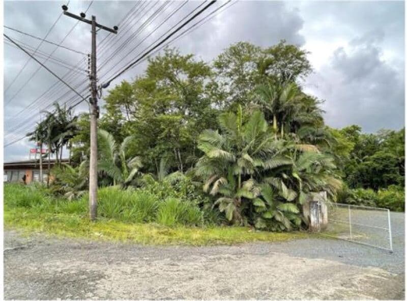 Foto 4 de 5: Terreno em leilão em Blumenau - SC — LOTE 007 TERRENO