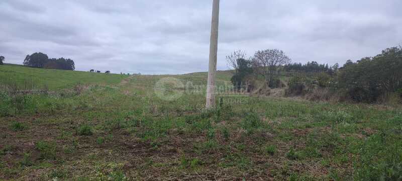Foto 7 de 12: Area Rural em leilão em Tuparendi - RS — LOTE 001 25.666,66m² no Lajeado Minas, em Tuparendi/RS