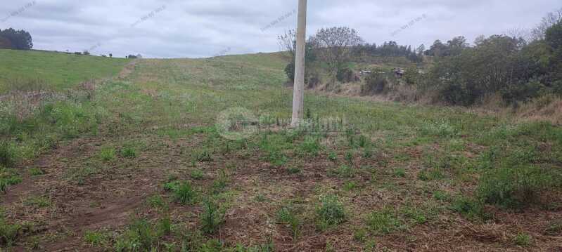 Foto 8 de 12: Area Rural em leilão em Tuparendi - RS — LOTE 001 25.666,66m² no Lajeado Minas, em Tuparendi/RS