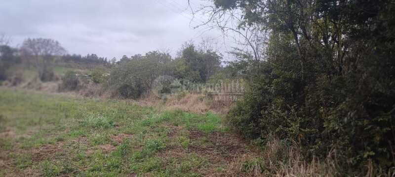 Foto 10 de 12: Area Rural em leilão em Tuparendi - RS — LOTE 001 25.666,66m² no Lajeado Minas, em Tuparendi/RS