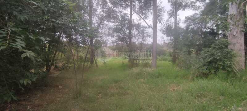 Foto 11 de 12: Area Rural em leilão em Tuparendi - RS — LOTE 001 25.666,66m² no Lajeado Minas, em Tuparendi/RS
