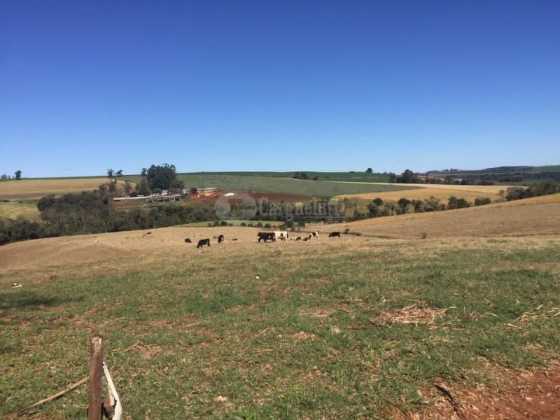 Foto 2 de 10: Area Rural em leilão em São Valério Do Sul - RS — LOTE 002 Uma fração de terras rurais, com área de 50.000m², no lugar denominado Secção Timbaúva - Sã