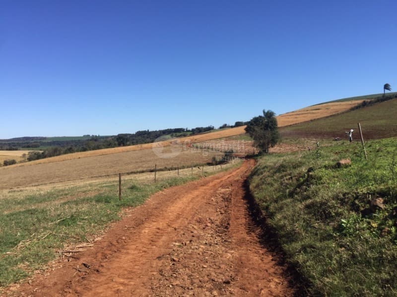 Foto 3 de 10: Area Rural em leilão em São Valério Do Sul - RS — LOTE 002 Uma fração de terras rurais, com área de 50.000m², no lugar denominado Secção Timbaúva - Sã