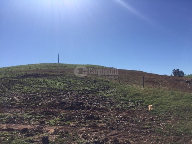 Foto 4 de 10: Area Rural em leilão em São Valério Do Sul - RS — LOTE 002 Uma fração de terras rurais, com área de 50.000m², no lugar denominado Secção Timbaúva - Sã