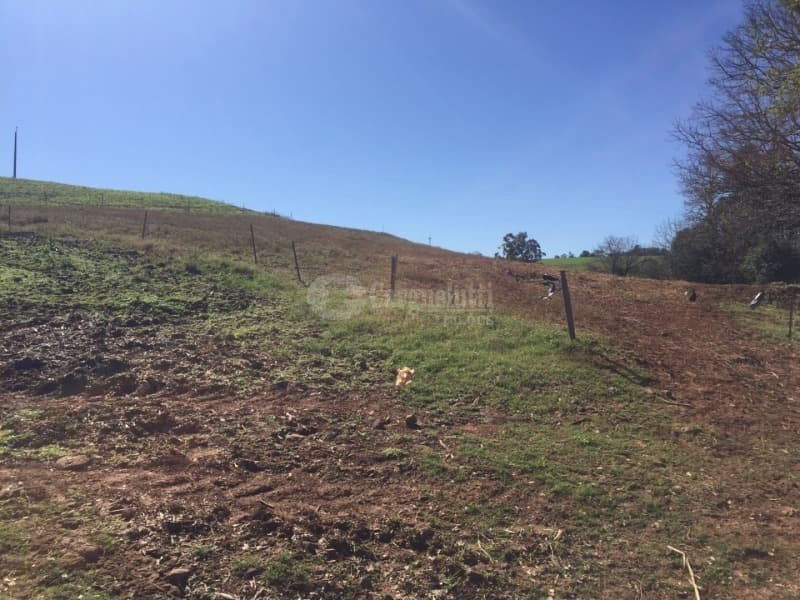 Foto 5 de 10: Area Rural em leilão em São Valério Do Sul - RS — LOTE 002 Uma fração de terras rurais, com área de 50.000m², no lugar denominado Secção Timbaúva - Sã
