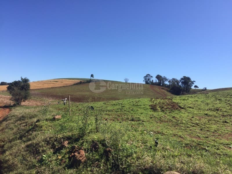 Foto 6 de 10: Area Rural em leilão em São Valério Do Sul - RS — LOTE 002 Uma fração de terras rurais, com área de 50.000m², no lugar denominado Secção Timbaúva - Sã