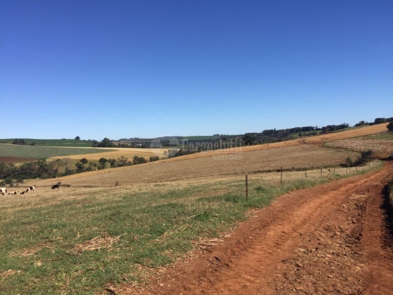 Foto 7 de 10: Area Rural em leilão em São Valério Do Sul - RS — LOTE 002 Uma fração de terras rurais, com área de 50.000m², no lugar denominado Secção Timbaúva - Sã