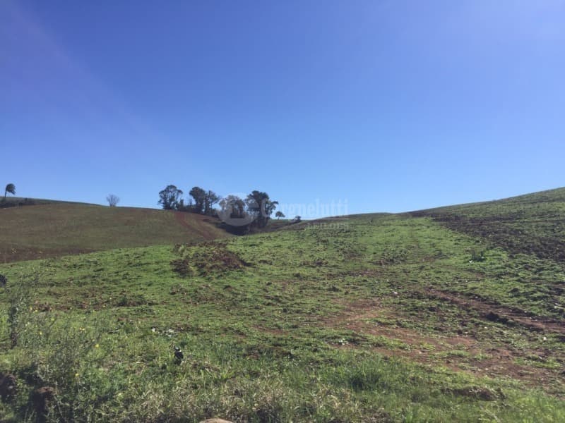 Foto 8 de 10: Area Rural em leilão em São Valério Do Sul - RS — LOTE 002 Uma fração de terras rurais, com área de 50.000m², no lugar denominado Secção Timbaúva - Sã