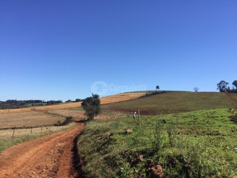 Foto 9 de 10: Area Rural em leilão em São Valério Do Sul - RS — LOTE 002 Uma fração de terras rurais, com área de 50.000m², no lugar denominado Secção Timbaúva - Sã