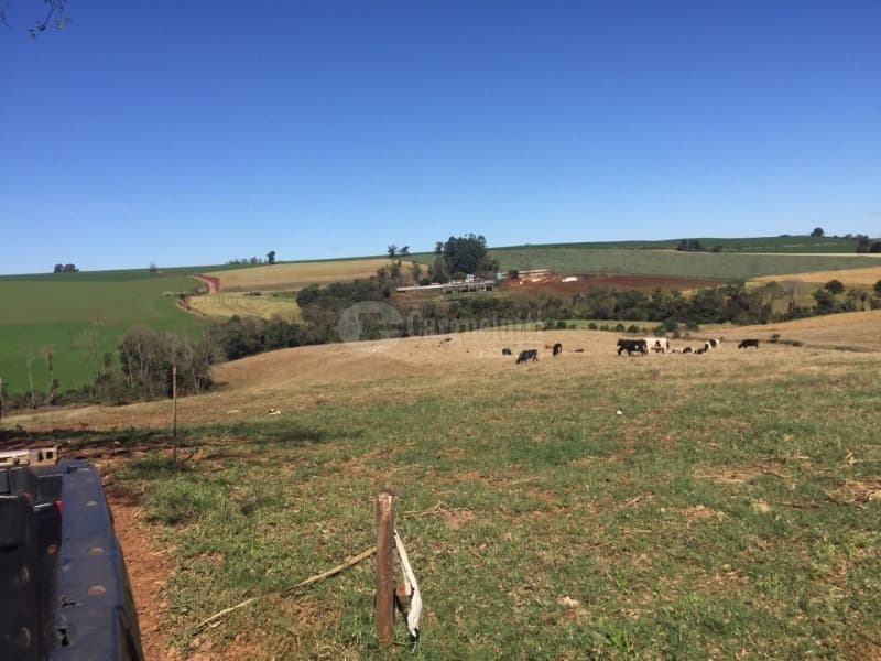 Foto 10 de 10: Area Rural em leilão em São Valério Do Sul - RS — LOTE 002 Uma fração de terras rurais, com área de 50.000m², no lugar denominado Secção Timbaúva - Sã