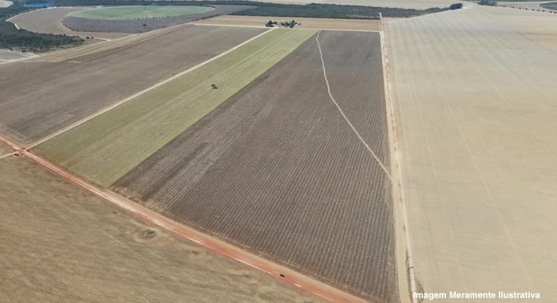 Foto 2 de 3: Area Rural em leilão em Bonfinópolis De Minas - MG — LOTE 001 IMÓVEL RURAL - FAZENDA PEQUI localizada no município de Bonfinópolis/MG