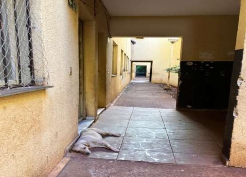 Foto 8 de 13: Apartamento em leilão em Ribeirão Preto - SP, bairro Jardim Javari — LOTE 001 APARTAMENTO QUITADO - SEM OUTRAS PENHORAS no Condomínio Residencial Itajubá na cidade de Ri