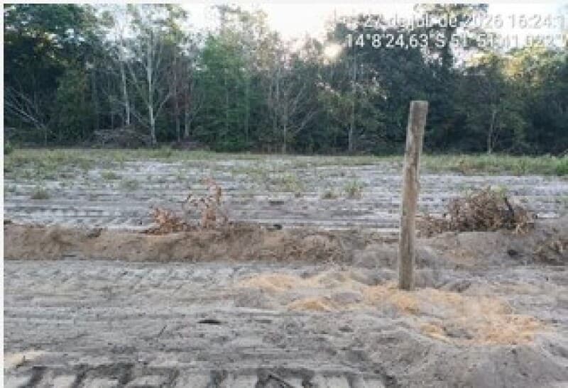 Foto 7 de 22: Area Rural em leilão em Nova Nazaré - MT — LOTE 001 ALIENAÇÃO FIDUCIÁRIA - FAZENDA SÃO JUDAS TADEU - Área de 155 hectares Comarca de Nova Nazar