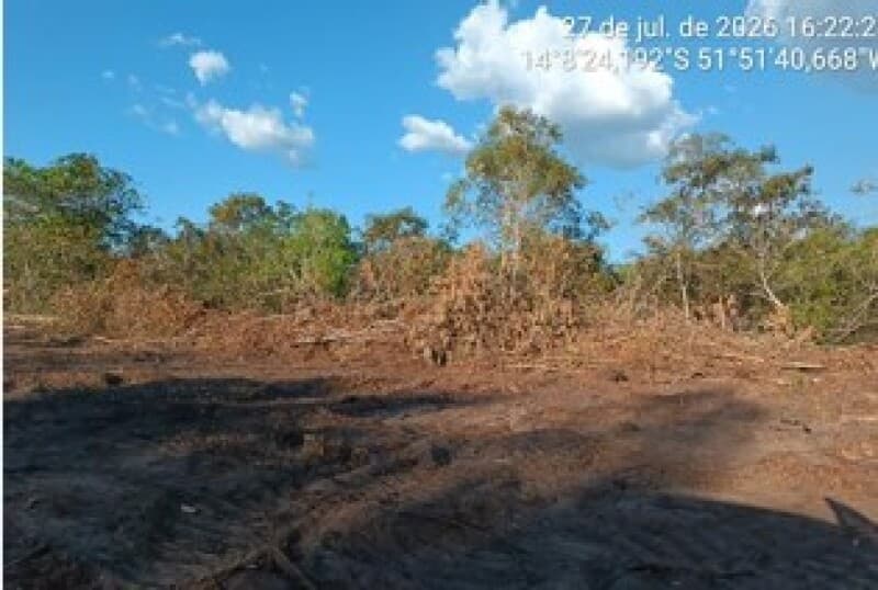 Foto 14 de 22: Area Rural em leilão em Nova Nazaré - MT — LOTE 001 ALIENAÇÃO FIDUCIÁRIA - FAZENDA SÃO JUDAS TADEU - Área de 155 hectares Comarca de Nova Nazar