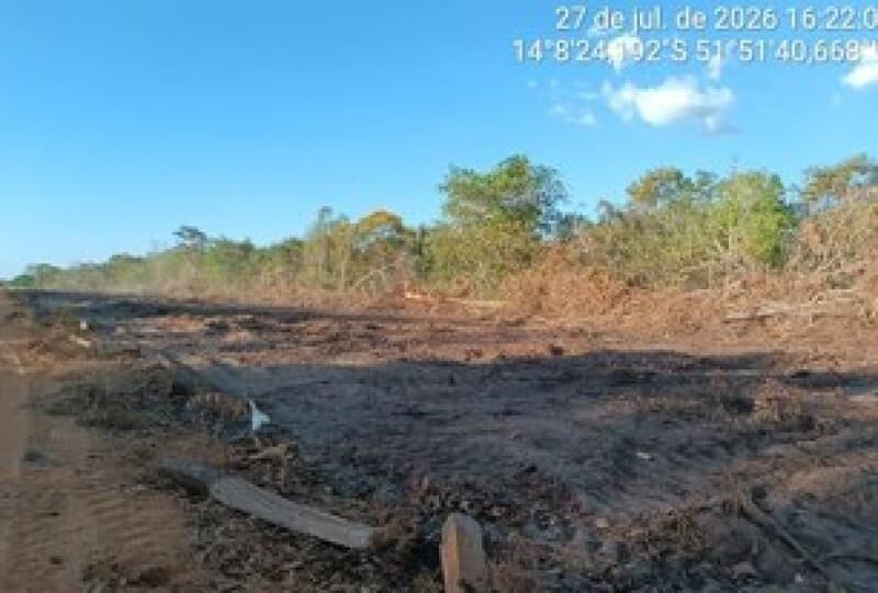 Foto 15 de 22: Area Rural em leilão em Nova Nazaré - MT — LOTE 001 ALIENAÇÃO FIDUCIÁRIA - FAZENDA SÃO JUDAS TADEU - Área de 155 hectares Comarca de Nova Nazar