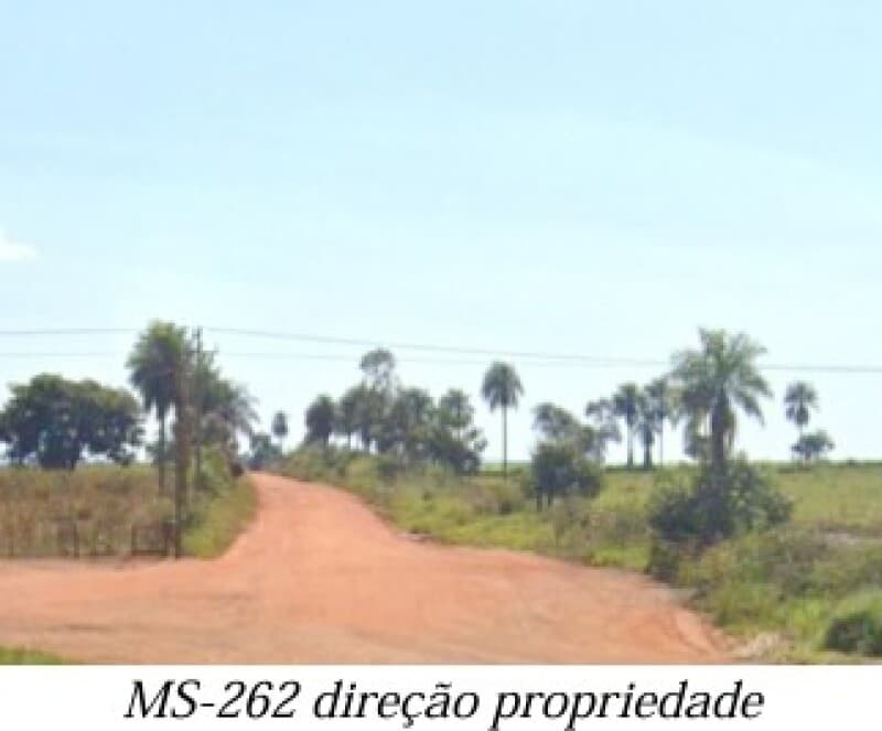 Foto 3 de 13: Area Rural em leilão em Bela Vista - MS — LOTE 001 ALIENAÇÃO FIDUCIÁRIA da FAZENDA KALAFATE - Área de 359ha no município de Bela Vista/MS