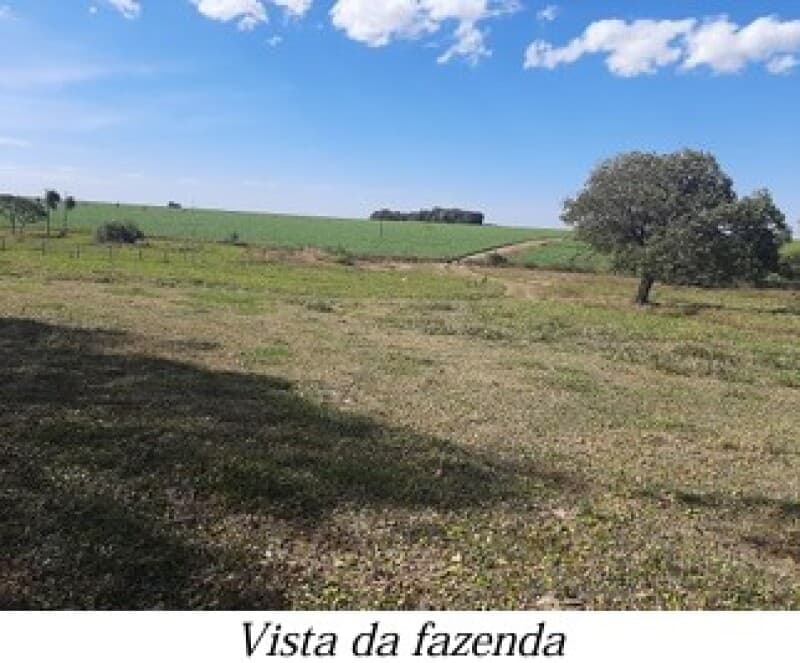 Foto 4 de 13: Area Rural em leilão em Bela Vista - MS — LOTE 001 ALIENAÇÃO FIDUCIÁRIA da FAZENDA KALAFATE - Área de 359ha no município de Bela Vista/MS
