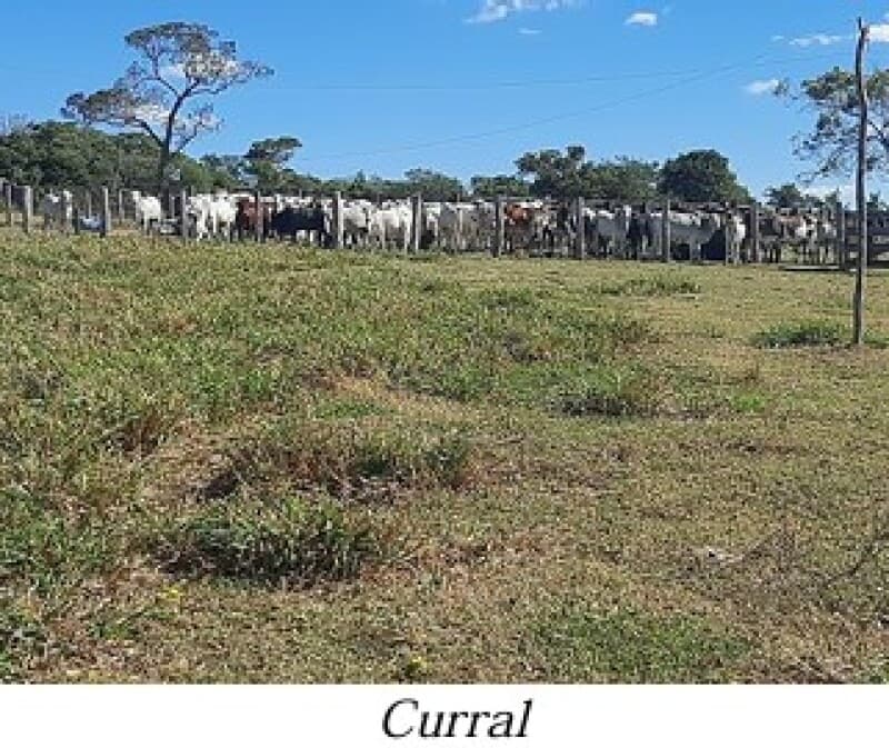 Foto 7 de 13: Area Rural em leilão em Bela Vista - MS — LOTE 001 ALIENAÇÃO FIDUCIÁRIA da FAZENDA KALAFATE - Área de 359ha no município de Bela Vista/MS
