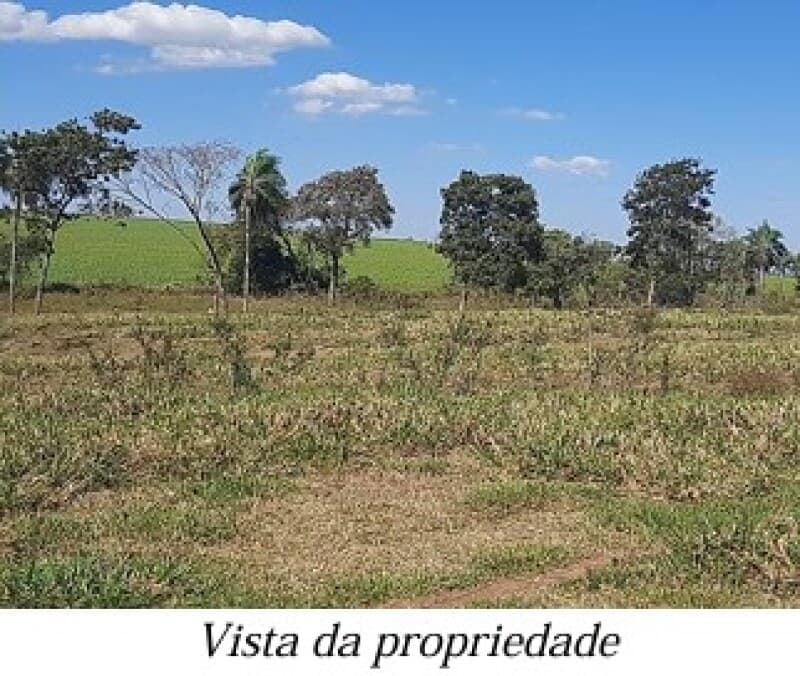Foto 8 de 13: Area Rural em leilão em Bela Vista - MS — LOTE 001 ALIENAÇÃO FIDUCIÁRIA da FAZENDA KALAFATE - Área de 359ha no município de Bela Vista/MS