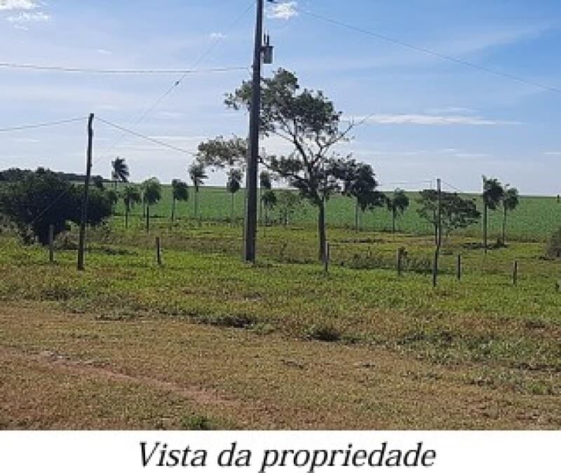 Foto 9 de 13: Area Rural em leilão em Bela Vista - MS — LOTE 001 ALIENAÇÃO FIDUCIÁRIA da FAZENDA KALAFATE - Área de 359ha no município de Bela Vista/MS