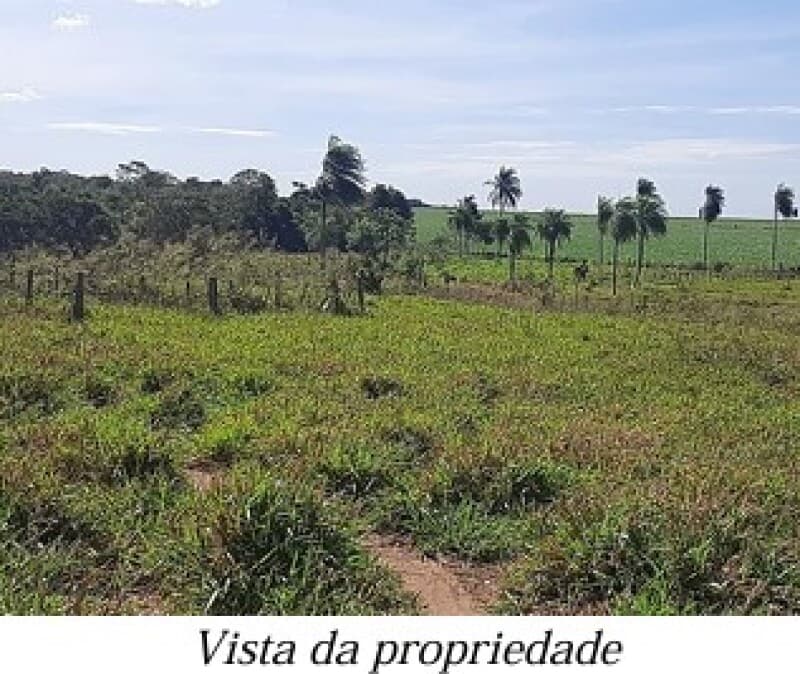 Foto 10 de 13: Area Rural em leilão em Bela Vista - MS — LOTE 001 ALIENAÇÃO FIDUCIÁRIA da FAZENDA KALAFATE - Área de 359ha no município de Bela Vista/MS