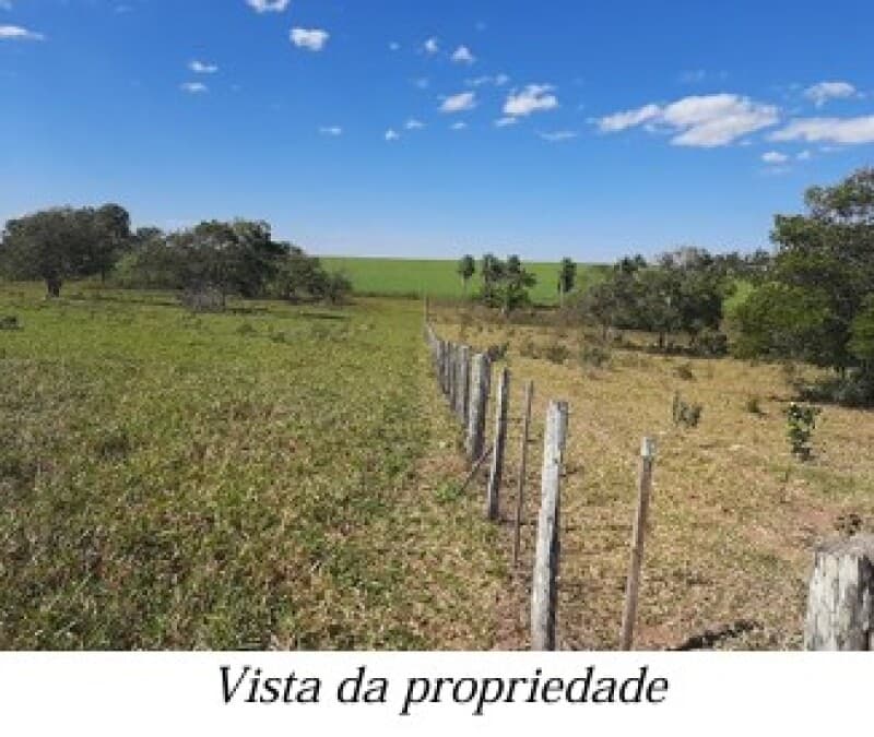 Foto 13 de 13: Area Rural em leilão em Bela Vista - MS — LOTE 001 ALIENAÇÃO FIDUCIÁRIA da FAZENDA KALAFATE - Área de 359ha no município de Bela Vista/MS