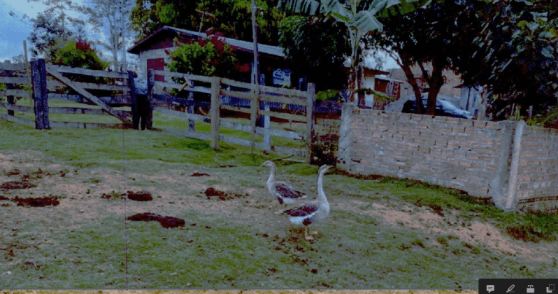 Foto 4 de 5: Terreno em leilão em Ariquemes - RO — LOTE 001 LOTE DE TERRA SITUADO EM PERÍMETRO URBANO MEDINDO 3,8067 ha ( três hectares e oitenta ares