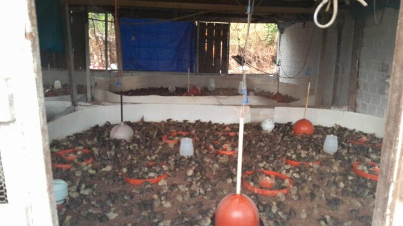 Foto 5 de 8: Terreno em leilão em Porto Velho - RO — LOTE 001 IMÓVEL URBANO COM 29.532,75m² EM PORTO VELHO/RO
