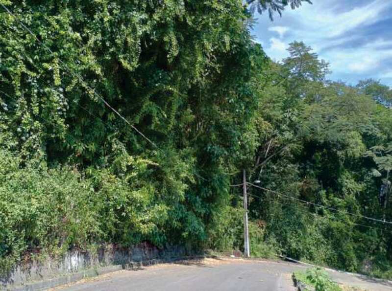 Foto 5 de 9: Terreno em leilão em Blumenau - SC — LOTE 001 IMÓVEL URBANO COM 11.304,93 m² EM BLUMENAU/SC (SIGEP 2691)