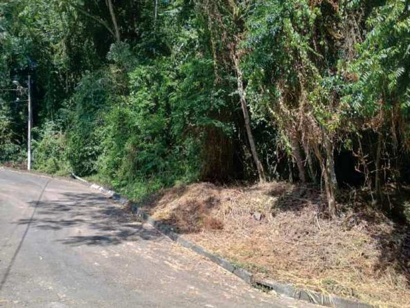 Foto 6 de 9: Terreno em leilão em Blumenau - SC — LOTE 001 IMÓVEL URBANO COM 11.304,93 m² EM BLUMENAU/SC (SIGEP 2691)