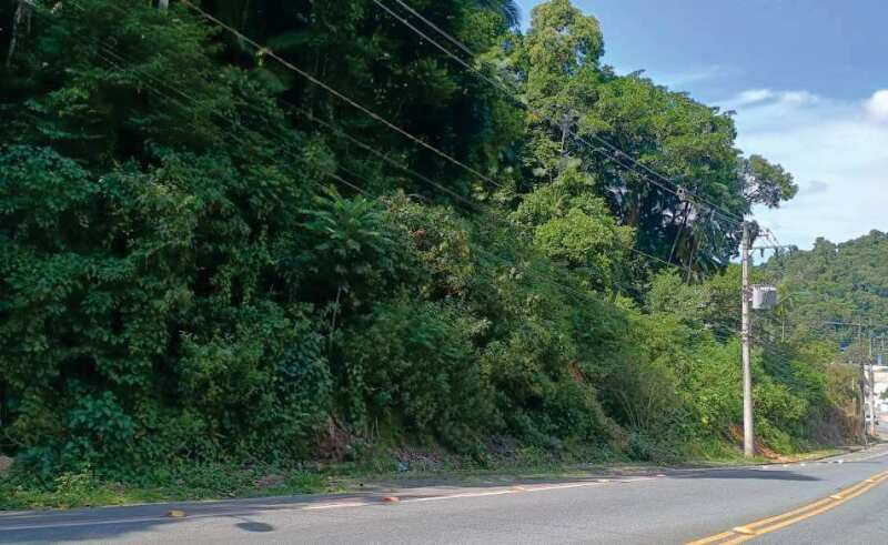 Foto 8 de 9: Terreno em leilão em Blumenau - SC — LOTE 001 IMÓVEL URBANO COM 11.304,93 m² EM BLUMENAU/SC (SIGEP 2691)