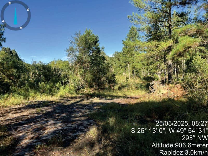 Foto 1 de 11: Area Rural em leilão em Mafra - SC — LOTE 008 IMÓVEL RURAL COM 107.690,00m2 EM MAFRA (SIGEP 159)