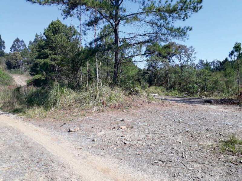 Foto 3 de 11: Area Rural em leilão em Mafra - SC — LOTE 008 IMÓVEL RURAL COM 107.690,00m2 EM MAFRA (SIGEP 159)