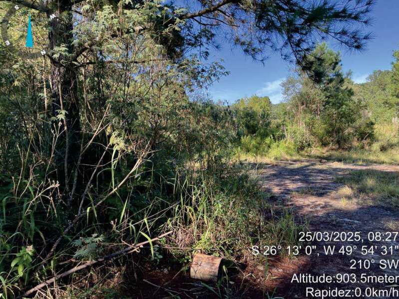 Foto 7 de 11: Area Rural em leilão em Mafra - SC — LOTE 008 IMÓVEL RURAL COM 107.690,00m2 EM MAFRA (SIGEP 159)