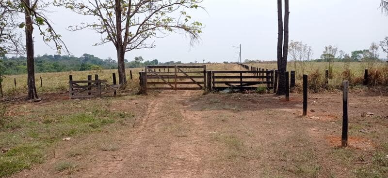 Area Rural em leilão em Pimenta Bueno - RO — LOTE 001 IMÓVEL RURAL COM 183,8888ha EM PIMENTA BUENO/RO - ACEITA PARCELAMENTO