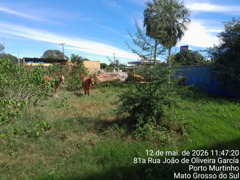 Foto 22 de 22: Terreno em leilão em Porto Murtinho - MS — LOTE 001 03 IMÓVEIS (LOTE ÚNICO) EM PORTO MURTINHO/MS