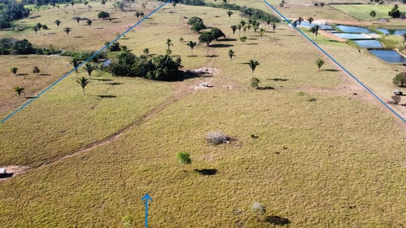 Foto 4 de 16: Area Rural em leilão em Ouro Preto Do Oeste - RO — LOTE 001 IMÓVEL RURAL COM 53,3362ha EM OURO PRETO DO OESTE/RO