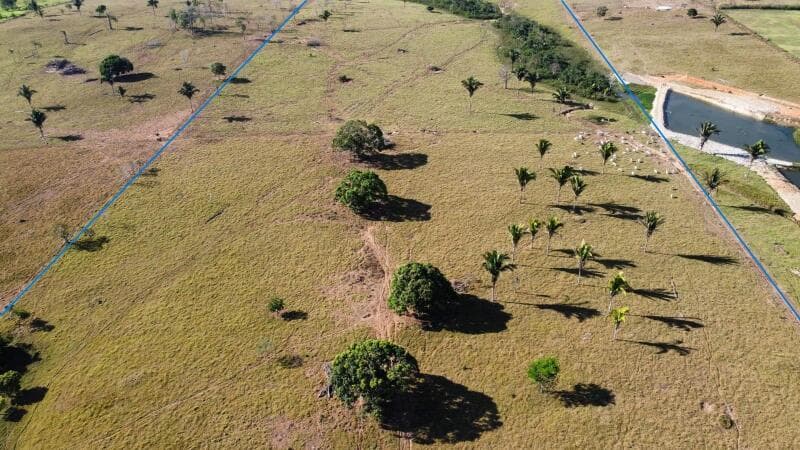 Foto 5 de 16: Area Rural em leilão em Ouro Preto Do Oeste - RO — LOTE 001 IMÓVEL RURAL COM 53,3362ha EM OURO PRETO DO OESTE/RO