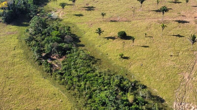 Foto 6 de 16: Area Rural em leilão em Ouro Preto Do Oeste - RO — LOTE 001 IMÓVEL RURAL COM 53,3362ha EM OURO PRETO DO OESTE/RO