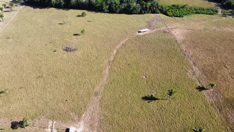 Foto 8 de 16: Area Rural em leilão em Ouro Preto Do Oeste - RO — LOTE 001 IMÓVEL RURAL COM 53,3362ha EM OURO PRETO DO OESTE/RO