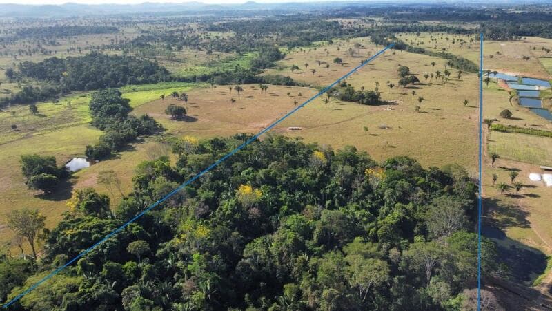 Foto 10 de 16: Area Rural em leilão em Ouro Preto Do Oeste - RO — LOTE 001 IMÓVEL RURAL COM 53,3362ha EM OURO PRETO DO OESTE/RO