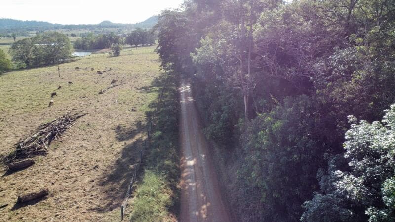 Foto 16 de 16: Area Rural em leilão em Ouro Preto Do Oeste - RO — LOTE 001 IMÓVEL RURAL COM 53,3362ha EM OURO PRETO DO OESTE/RO