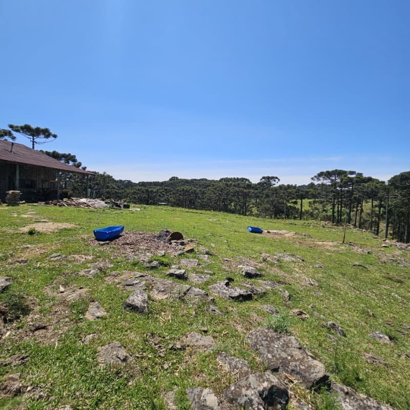 Foto 4 de 10: Terreno em leilão em São Joaquim - SC — LOTE 001 [15.877] TERRENO RURAL DE 48.496,44M² EM SÃO JOAQUIM/SC