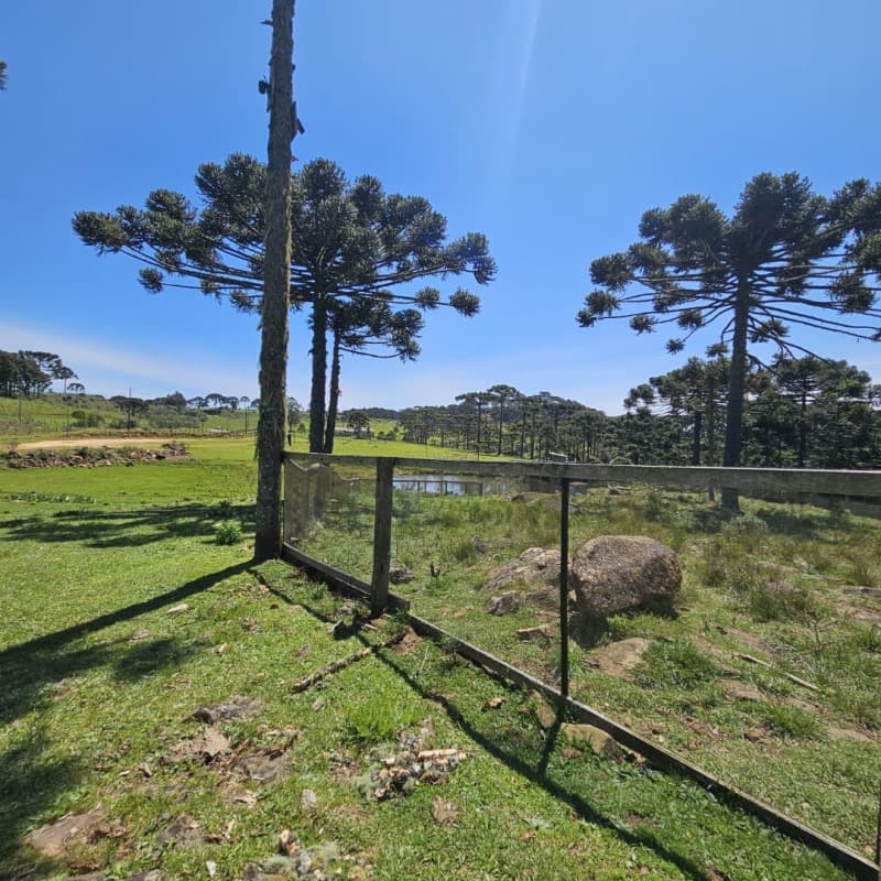 Foto 6 de 10: Terreno em leilão em São Joaquim - SC — LOTE 001 [15.877] TERRENO RURAL DE 48.496,44M² EM SÃO JOAQUIM/SC