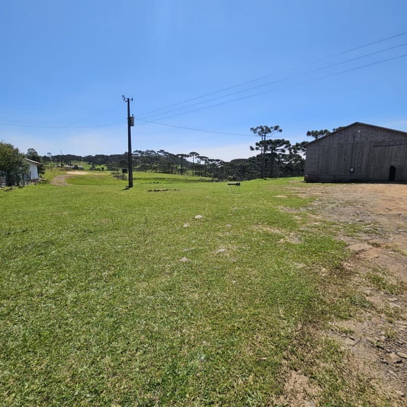 Foto 8 de 10: Terreno em leilão em São Joaquim - SC — LOTE 001 [15.877] TERRENO RURAL DE 48.496,44M² EM SÃO JOAQUIM/SC
