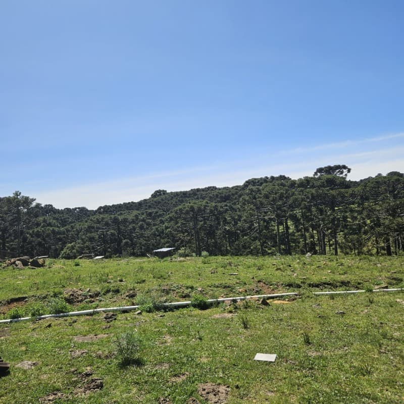 Foto 10 de 10: Terreno em leilão em São Joaquim - SC — LOTE 001 [15.877] TERRENO RURAL DE 48.496,44M² EM SÃO JOAQUIM/SC